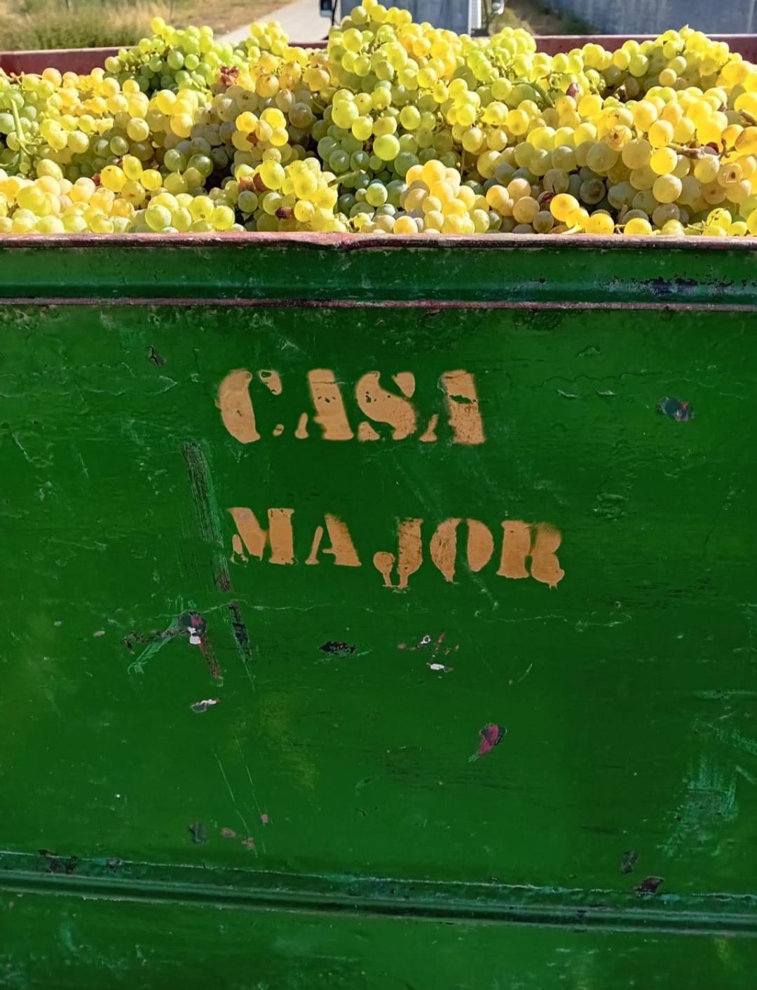 Casa Major Bed & Breakfast Pegarinhos Eksteriør bilde